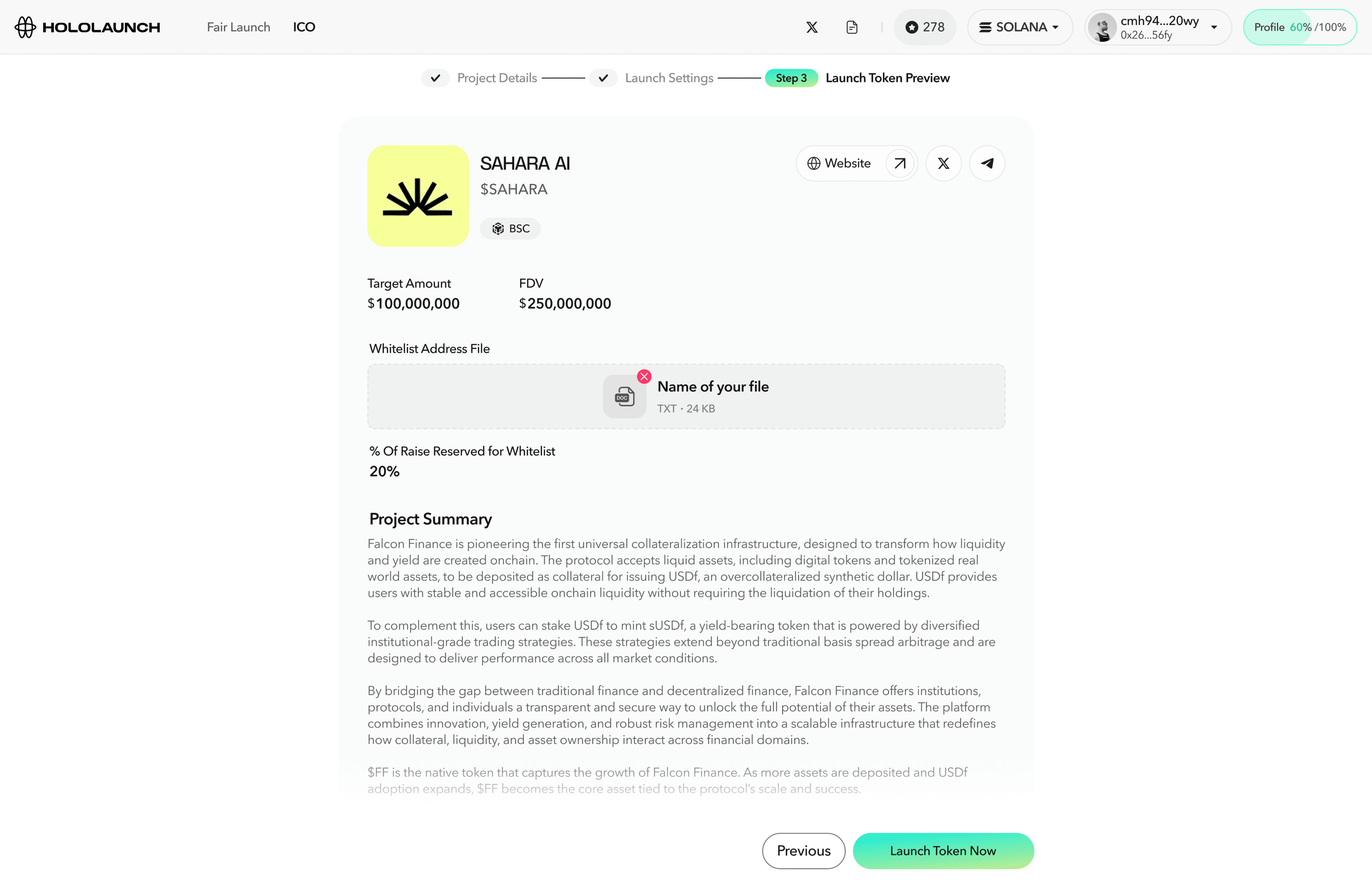ICO launch — raise target and whitelist settings