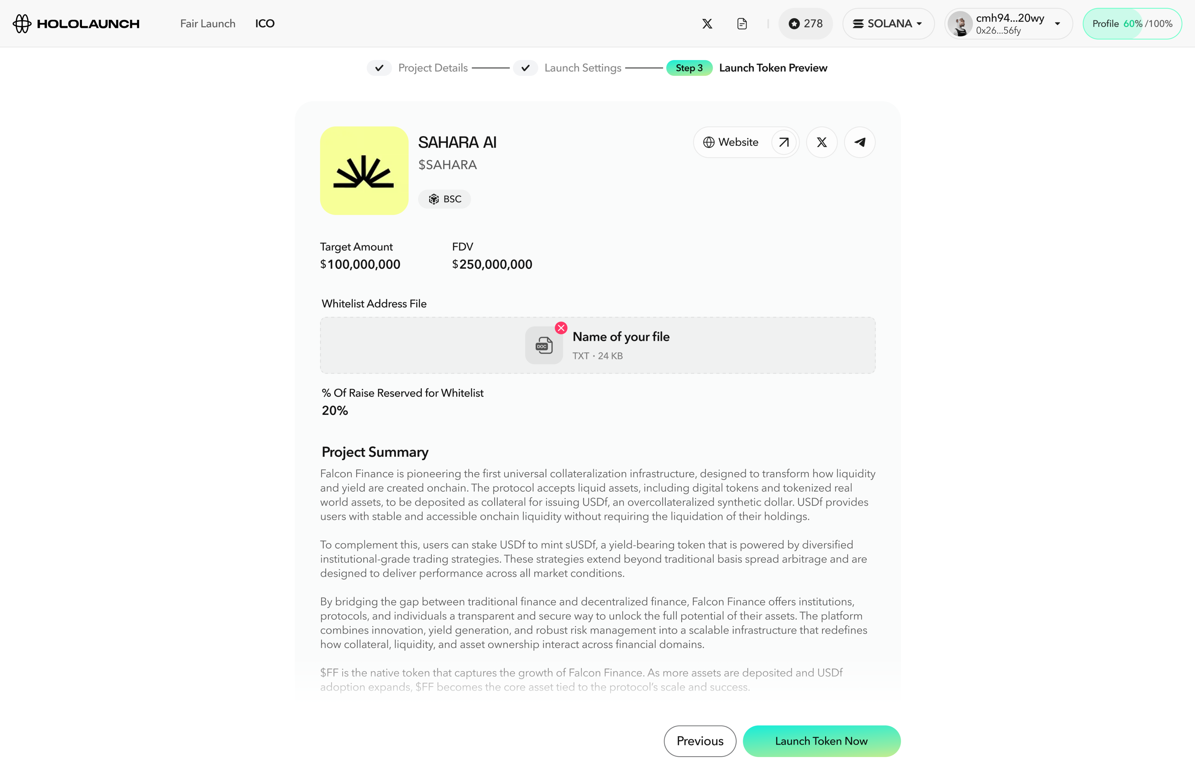 ICO launch — raise target and whitelist settings